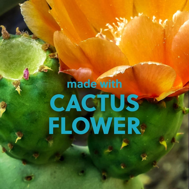 Treehut Desert Haze Shea Sugar Scrub, Exfoliating, Hydrating & Moisturizing Body Scrub with Shea Butter & Nourishing Essential Oils, Smooth & Soften Skin, 18 oz - Image 5